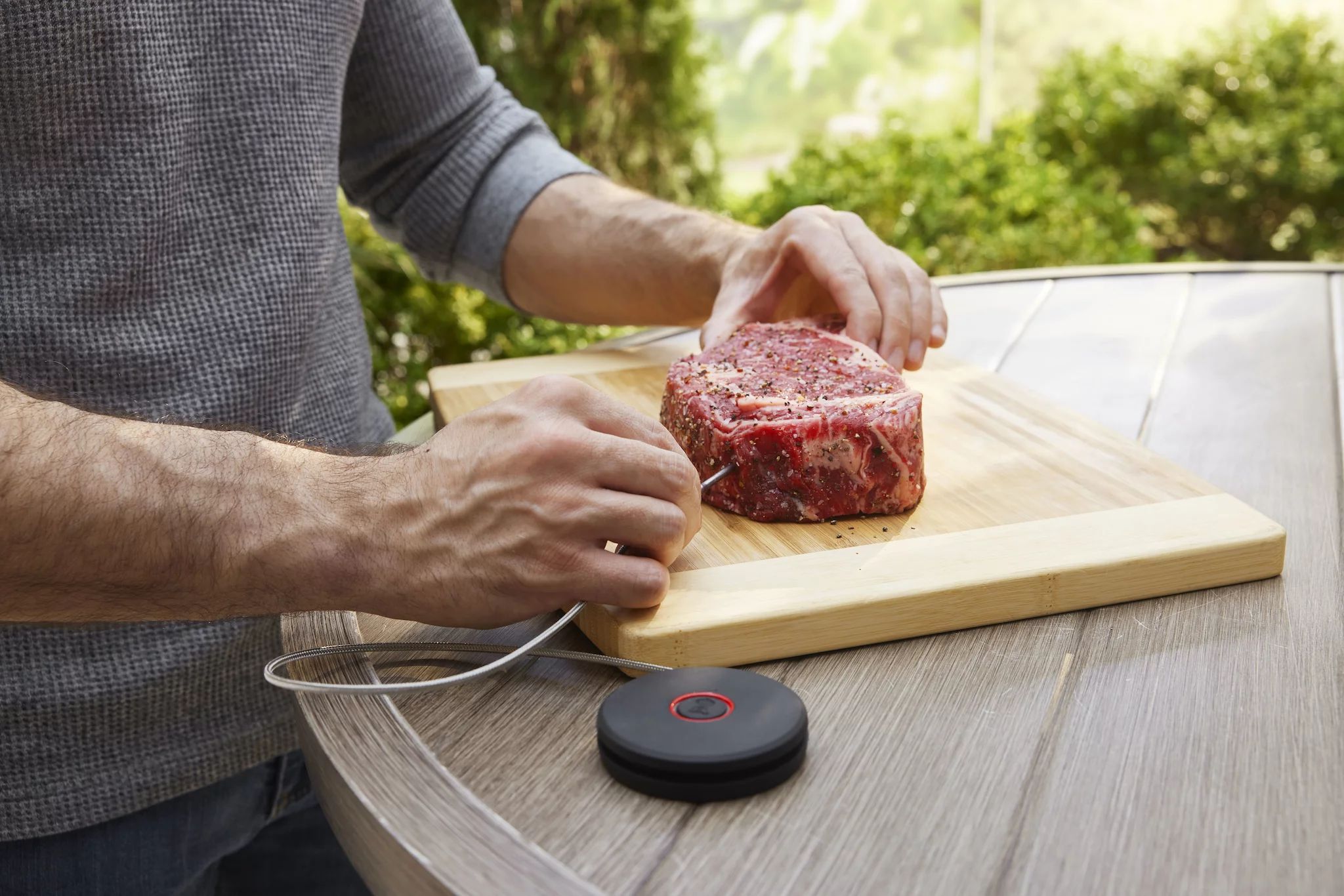 Weber Bluetooth Thermometer