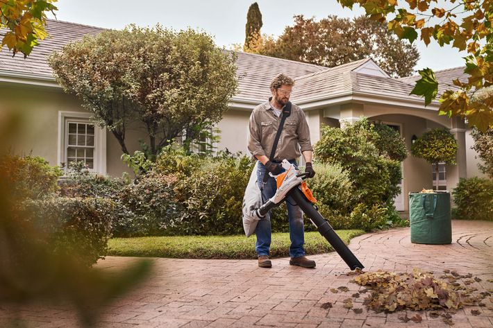 STIHL SHA 56 inkl. AK20+AL101