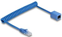 Delock Netzwerkverlängerungskabel - RJ-45 (M)