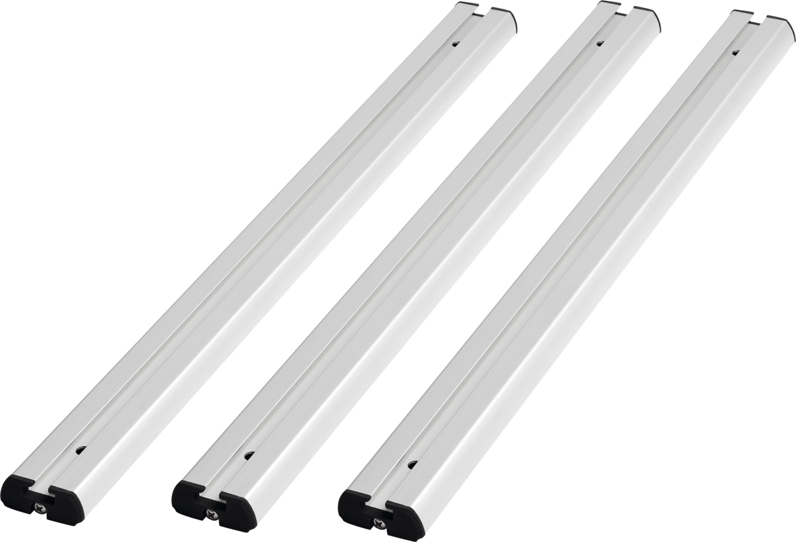 Thule Montageschienen VeloSlide 70 cm