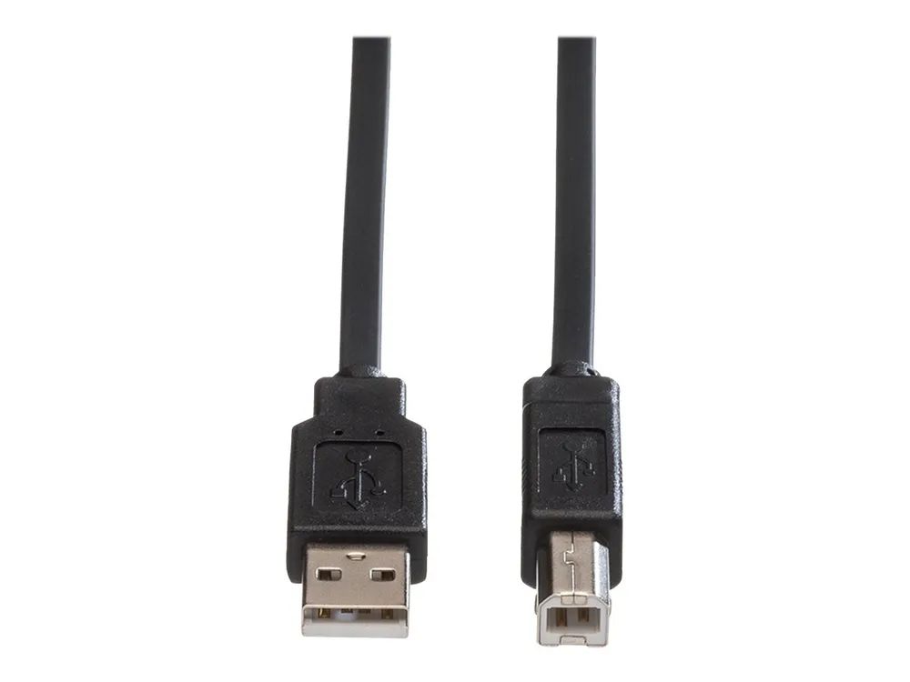 ROLINE USB-Kabel - USB (M) zu USB Typ B (M)