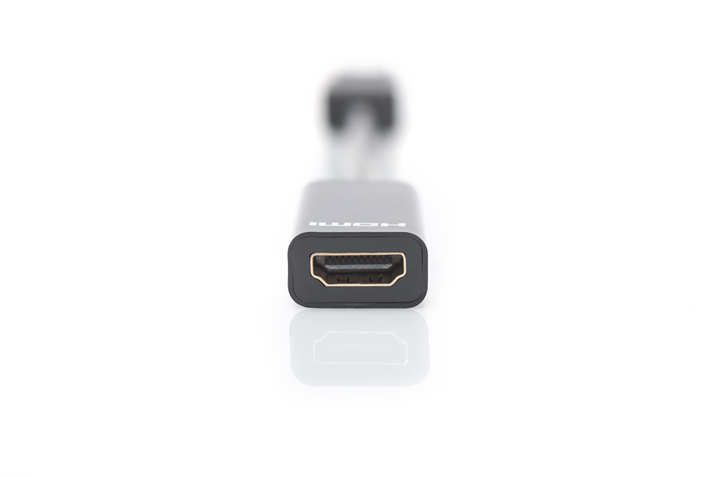 DIGITUS DisplayPort Adapter / Konverter