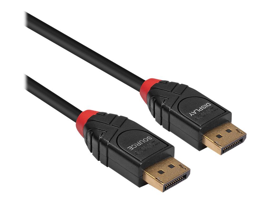 Lindy DisplayPort-Kabel - DisplayPort (M)