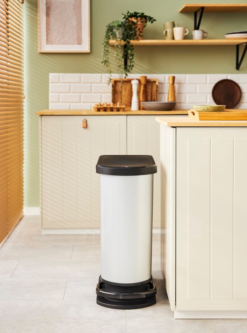 Rotho Treteimer mono 50 l PASO