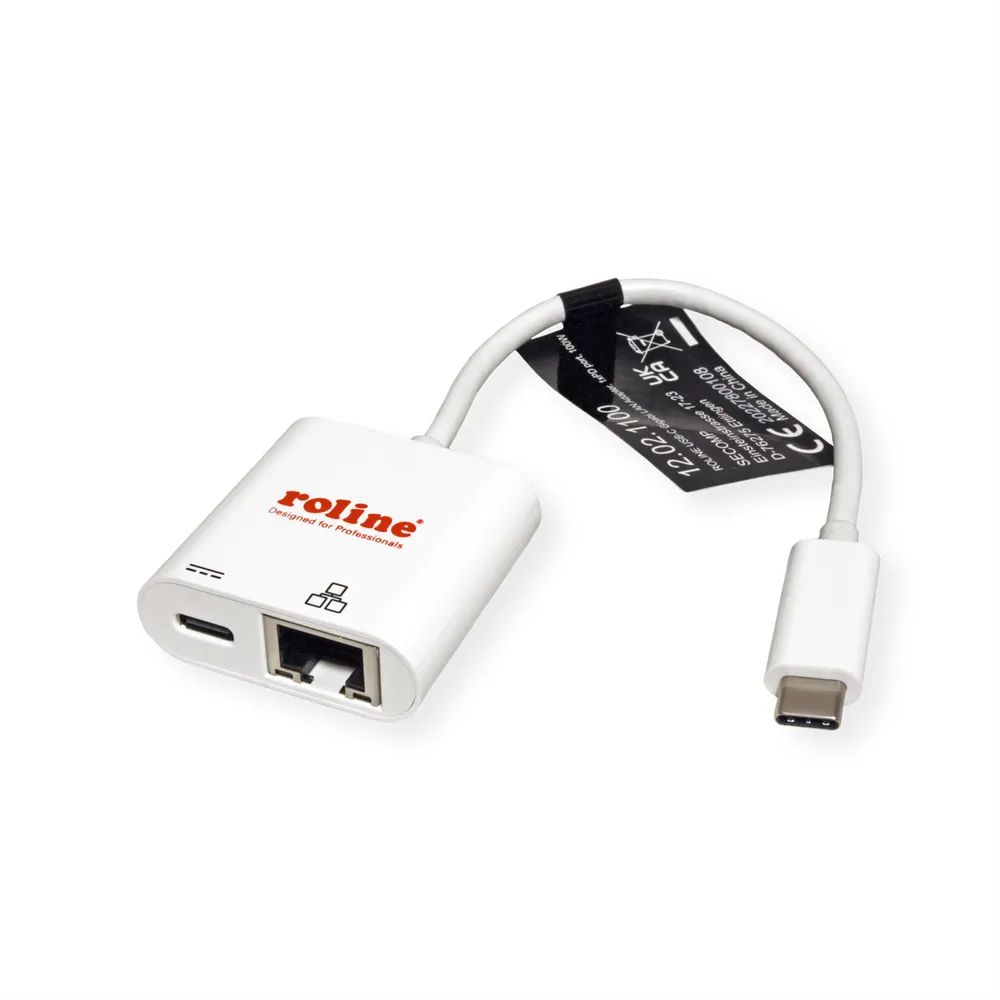 ROLINE USB 3.2 Gen 2 Typ C zu Gigabit Ethernet Konverter + 1x PD Port, 100W