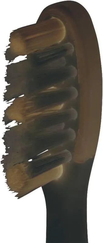 Panasonic WEW0929 - Austausch-Bürstenkopf - für