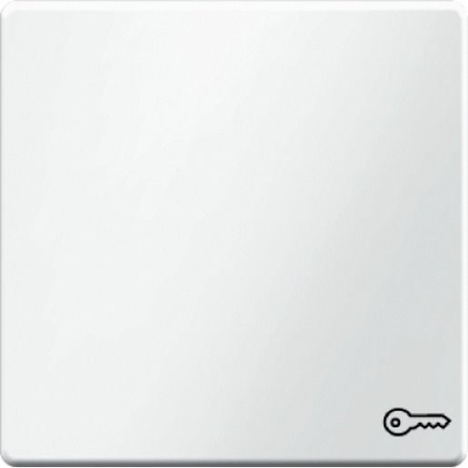 Berker WIPPE M. SYMBOL TÜR / BERKER 16206069 PW Q.1 16206069
