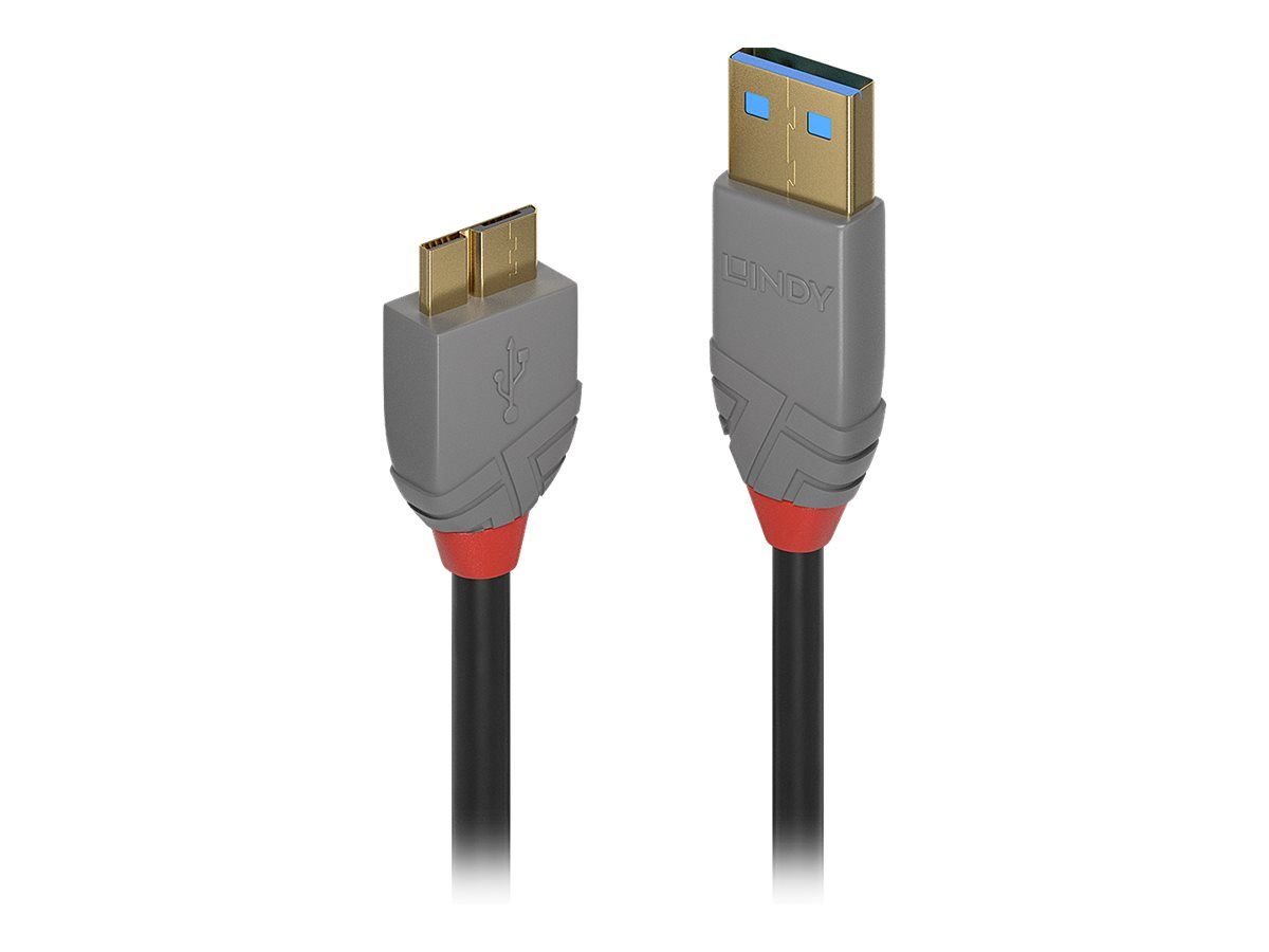 Lindy Anthra Line - USB-Kabel - USB Typ A (M)
