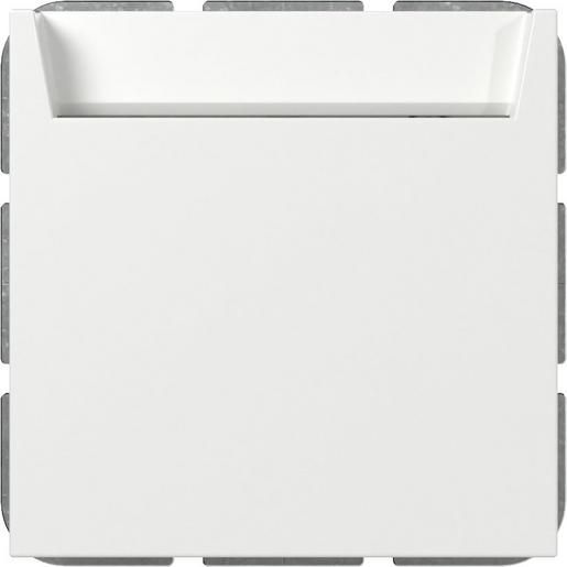 Gira HOTEL-CARD WECHSLER BSF RWS / GIRA 314003 SYSTEM 55 314003