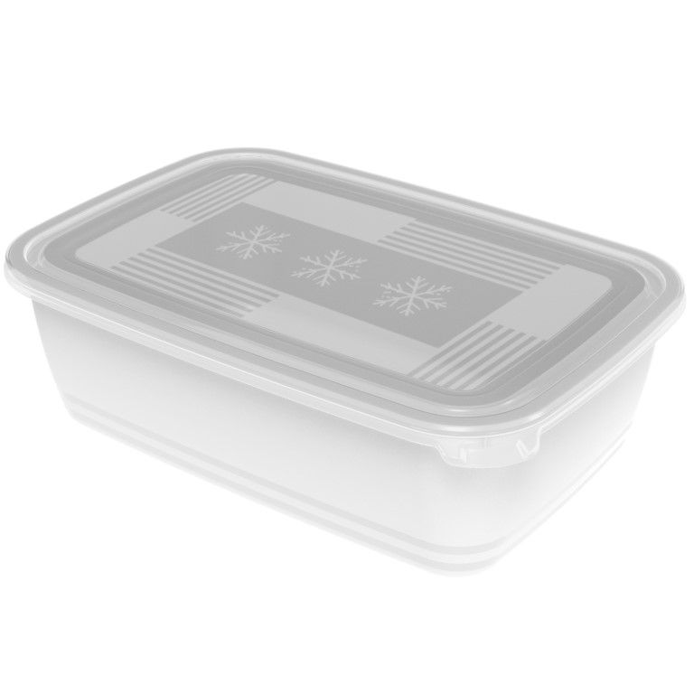 Rotho Gefrierdose 3.7 l FREEZE