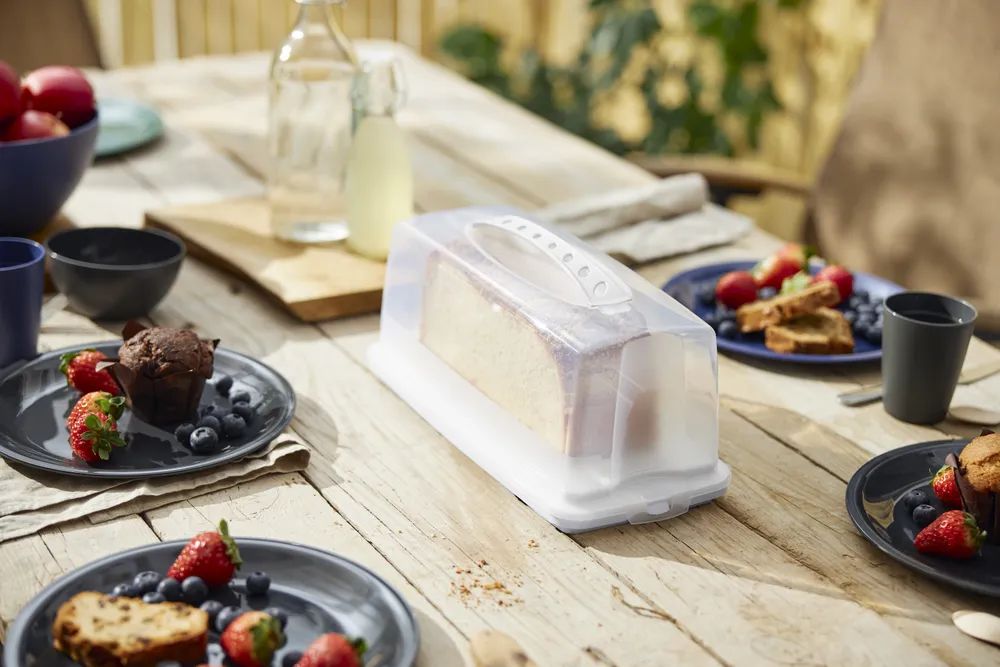 Rotho Kuchenbehälter FRESH