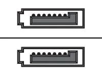 HP SATA-Kabel - SATA zu SATA - 46 cm - für