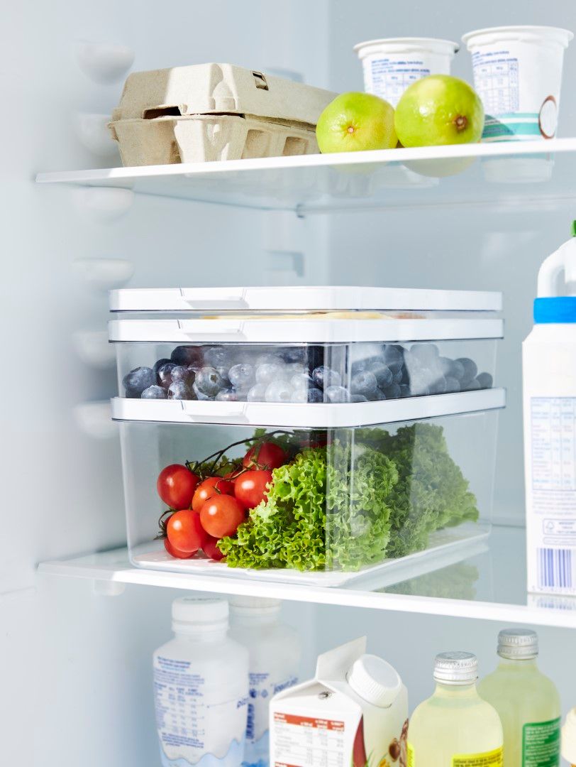 Rotho Kühlschrankorganizer 2,6 l CAUMA