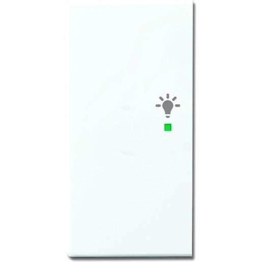 Busch-Jaeger WIPPE/L 2-FACH, LICHT / BUSCH 6231-21-84 2CKA006220A0052
