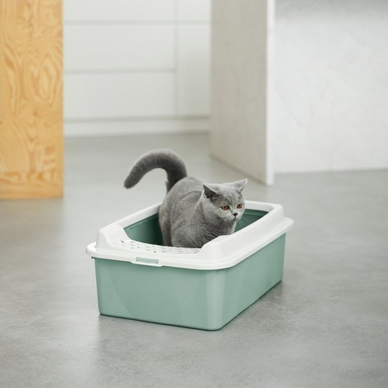 Rotho Katzentoilette Tray M Eco BONNIE