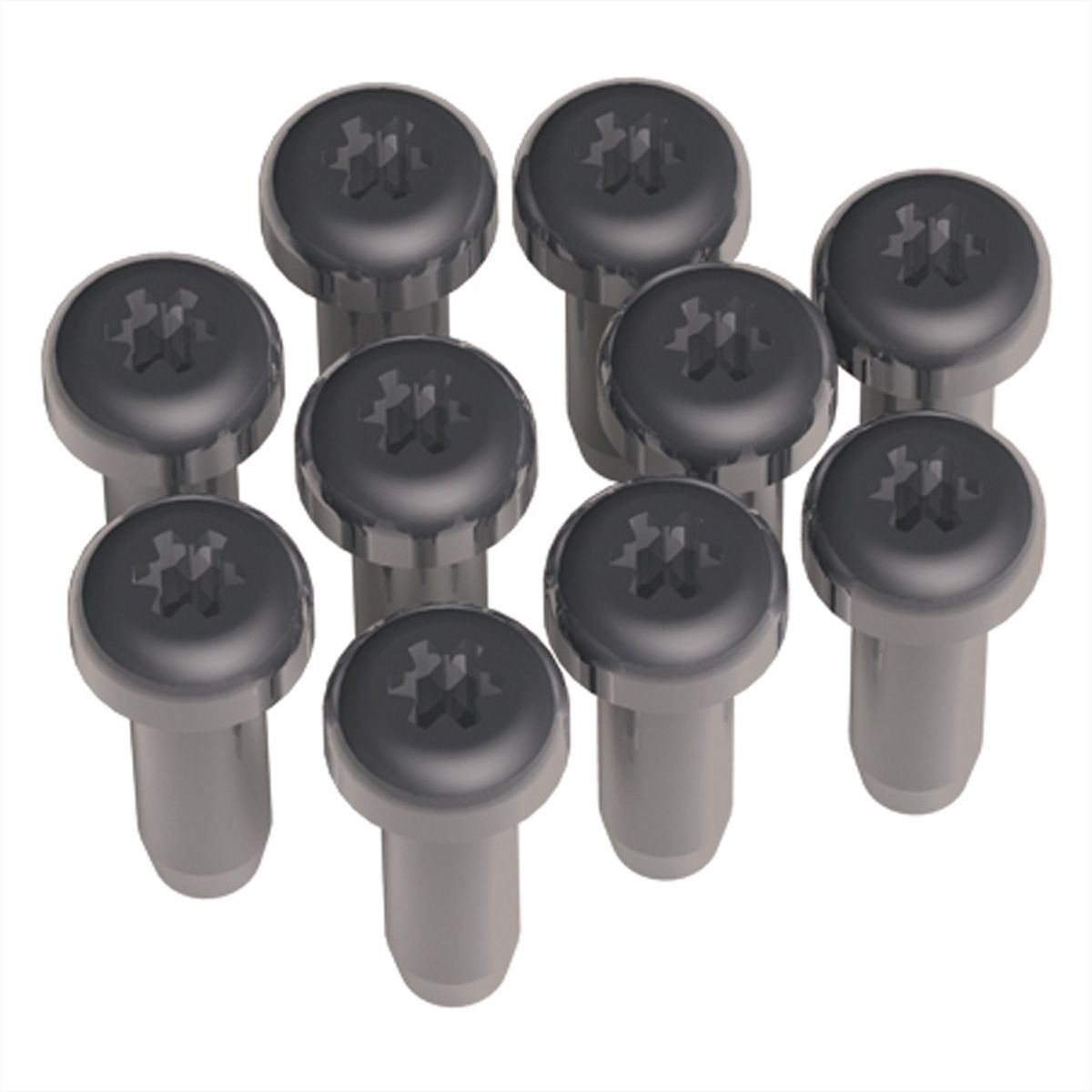 Bachmann Torx T6 - Schrauben-Kit - Schwarz (Packung mit 10)