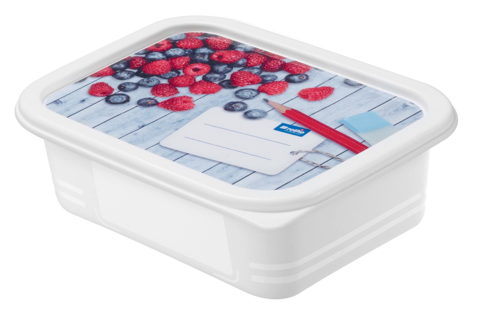 Rotho Set Gefrierdosen 4 x 0.5 l DOMINO