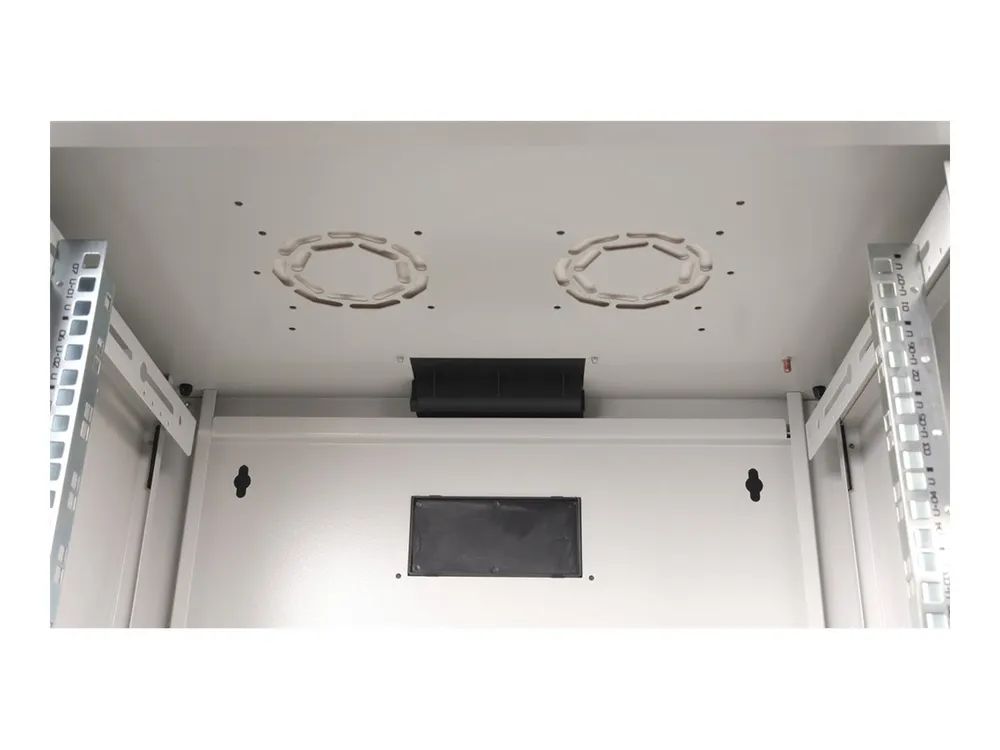 ROLINE Pro - Schrank Netzwerkschrank - 600 x 450 mm (B x T)