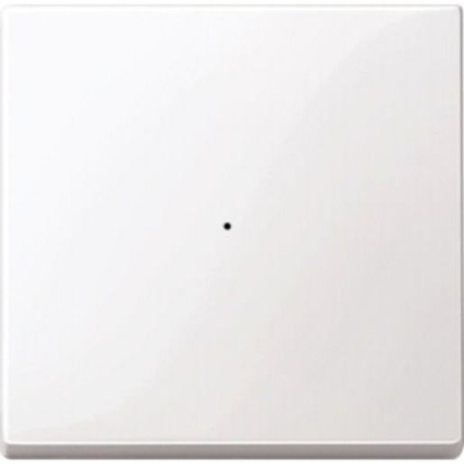 Merten WIPPE F.TSMOD 1F TPB SYSM / MERTEN 619119 PWS 619119
