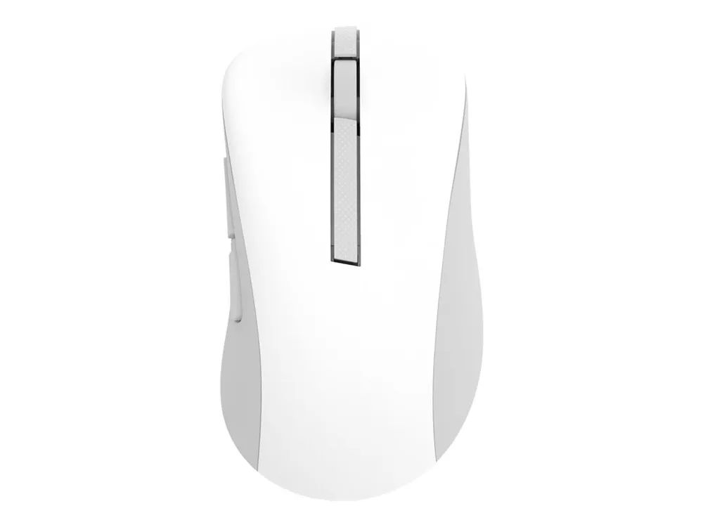 ASUS MD102 - Maus - ergonomisch - optisch - 5 Tasten - kabellos - Bluetooth, 2.4 GHz - kabelloser Empfänger (USB)