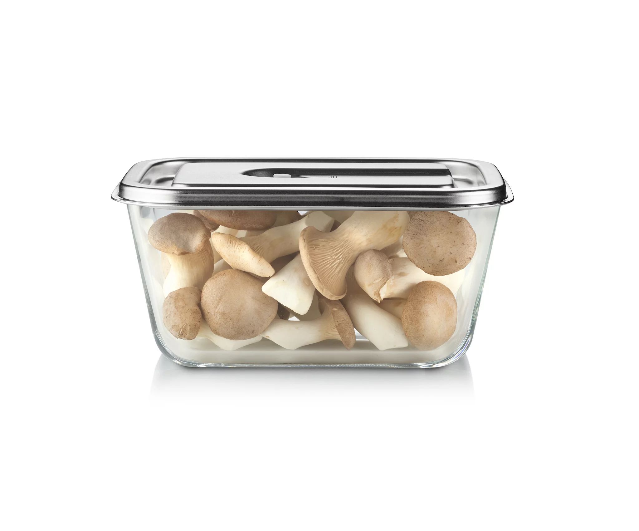 CASO VacuBoxx Inox XL 