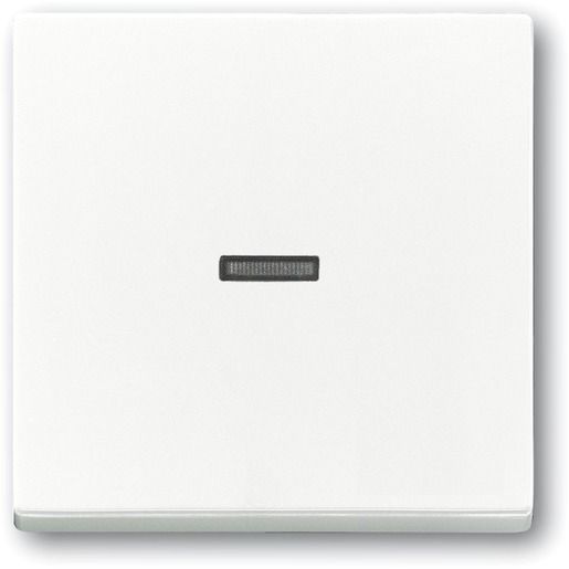 Busch-Jaeger WIPPE KONTR.TRANSP 1789 N-84 / BUSCH 1789 N-84 2CKA001751A3150