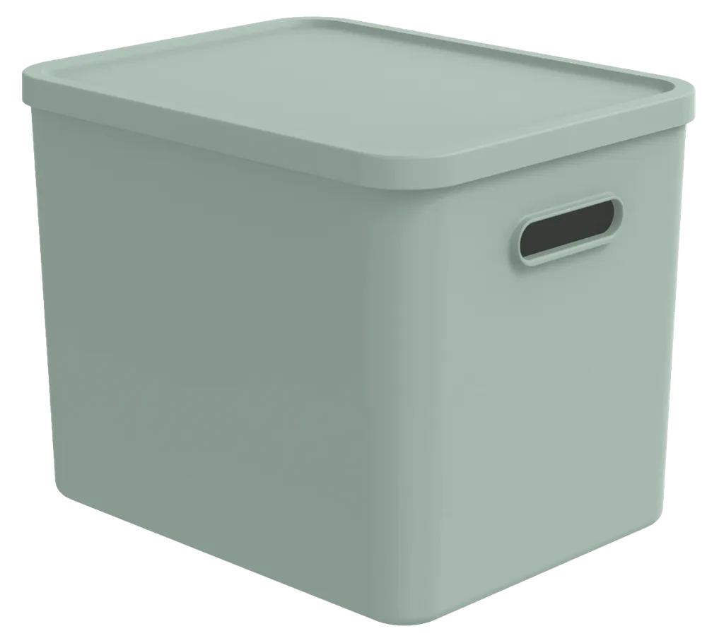 Rotho Multi box L KAYO