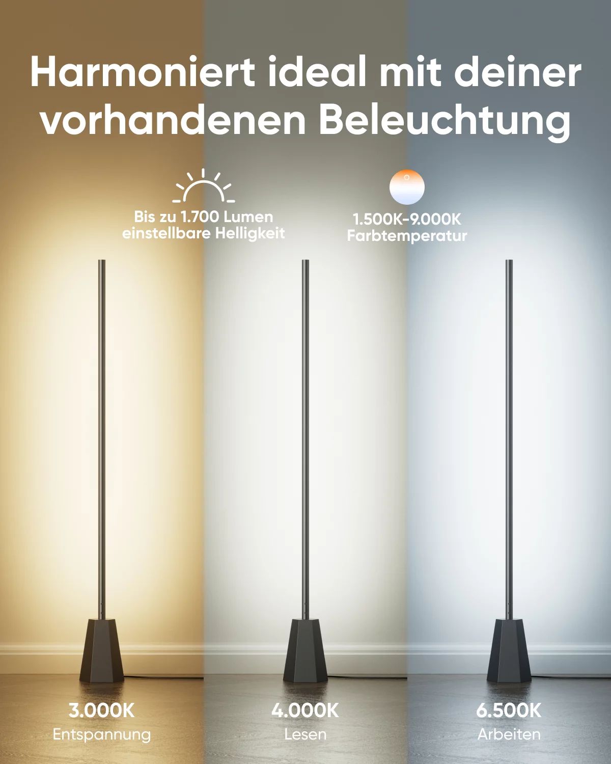 Anker Indoor Floor Lamp E10