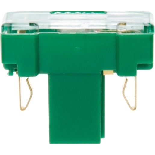 Berker GLIMMAGGREGAT 24V/35MA AC/DC / BERKER 167601 GRÜN 167601