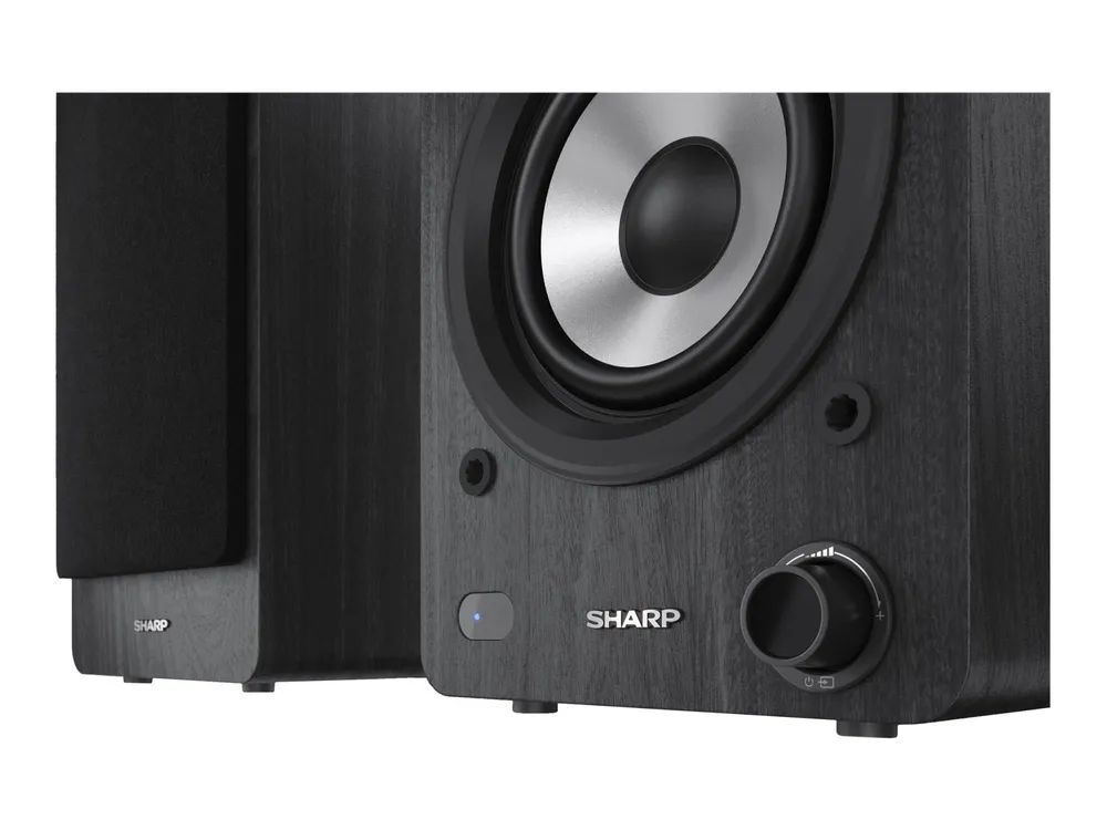Sharp CP-SS30 - Lautsprecher - 2.0-Kanal - Bücherregal - kabellos - Bluetooth - USB - 60 Watt (Gesamt)