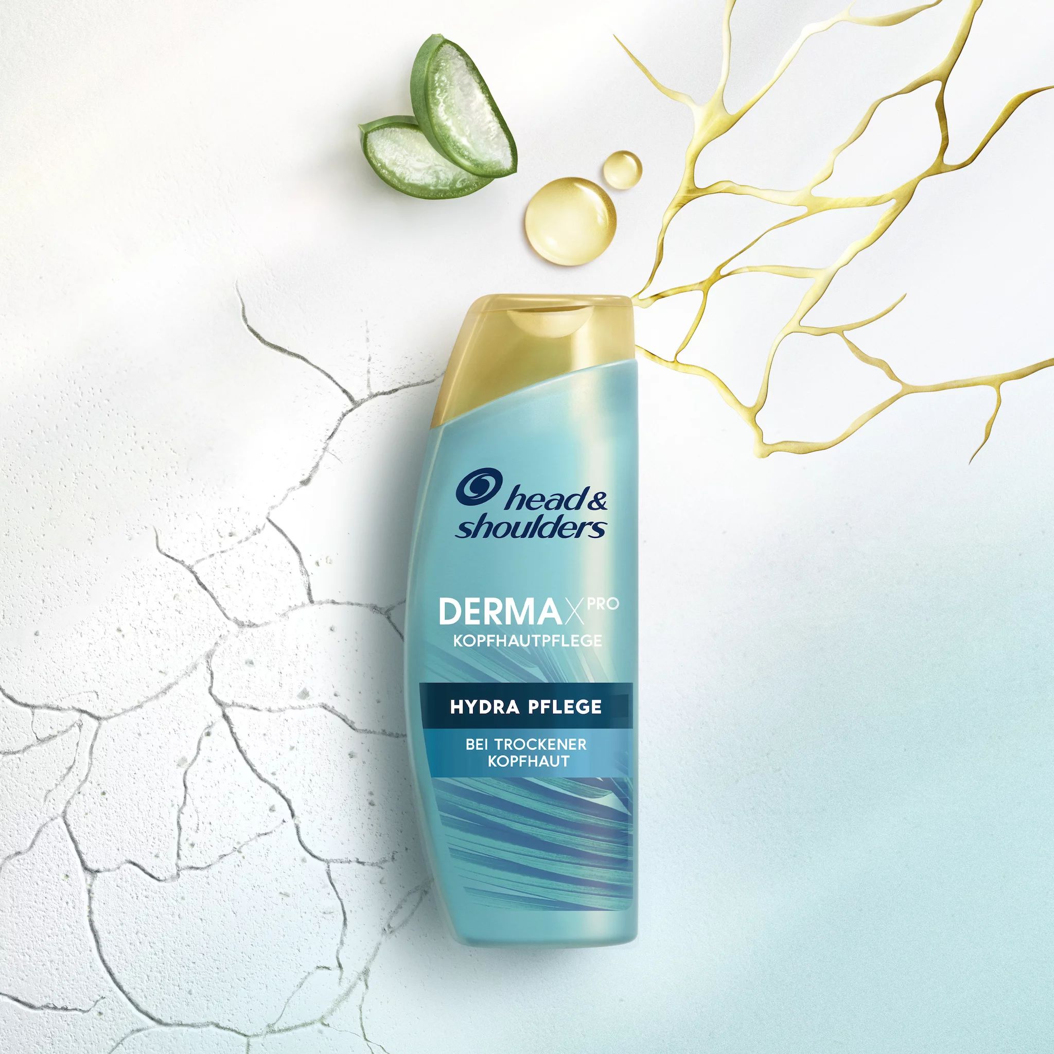 Head & Shoulders Derma x Pro Shampoo Hydra Pflege