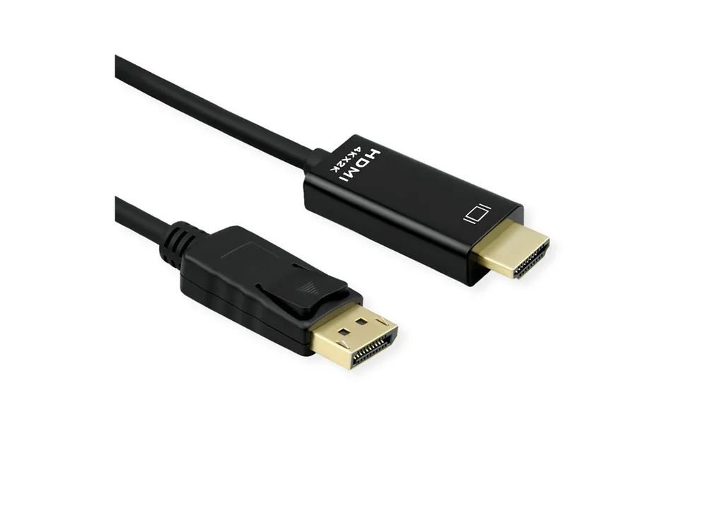 ROLINE Adapterkabel - DisplayPort männlich zu HDMI männlich - 1 m - abgeschirmt - Schwarz - hauchvergoldete Kontakte, unterstützt 4K 60 Hz (3840 x 2160)