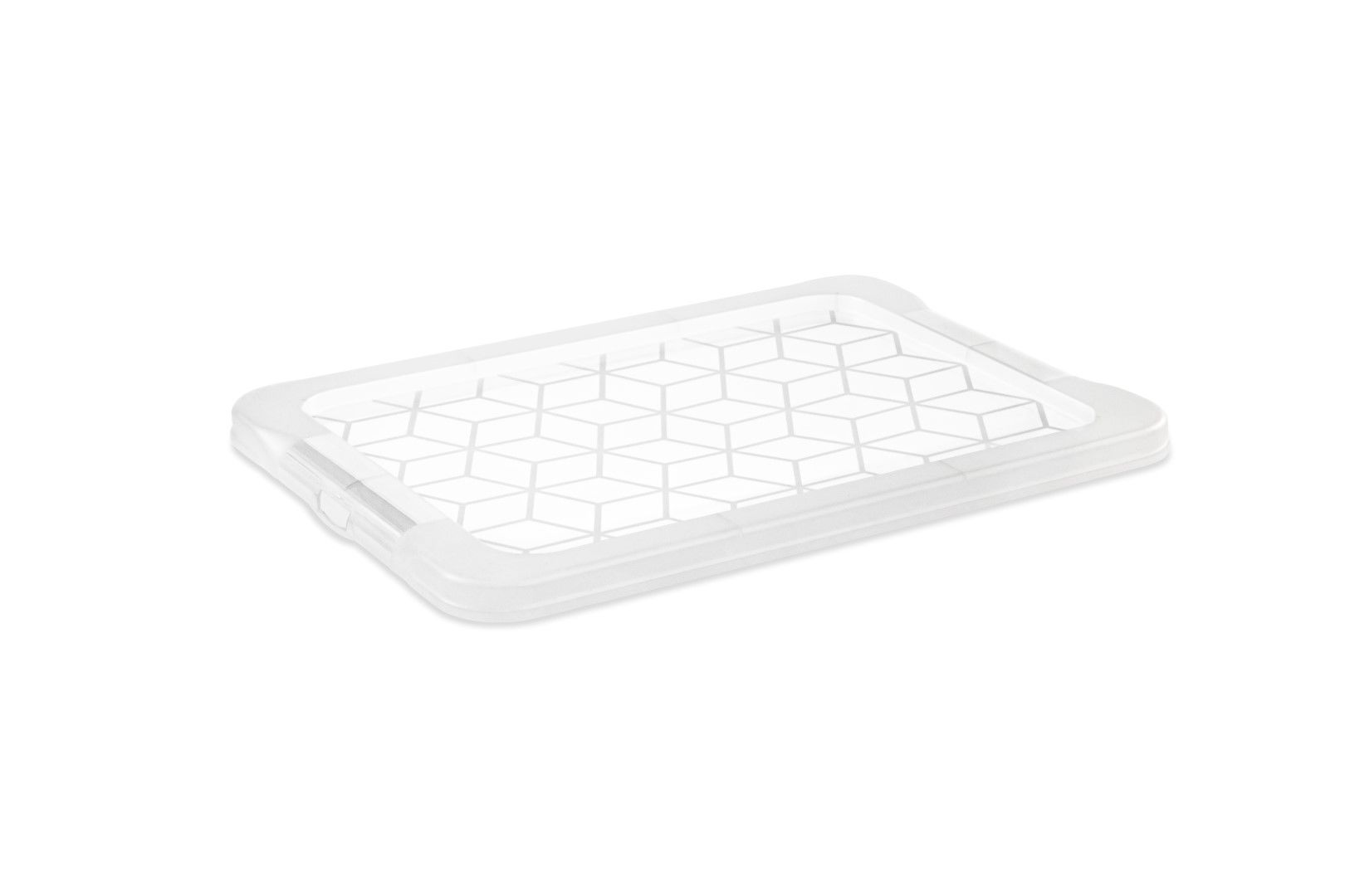 Rotho Deckel für 4 l Box EVO EASY