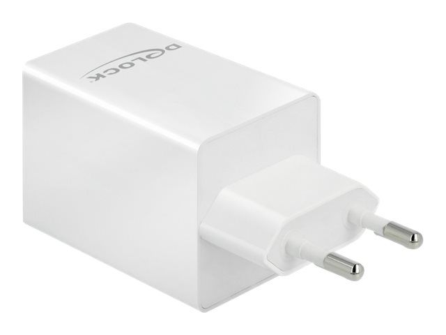 Delock Netzteil - 48 Watt - 3 A - Fast Charge - 2 Ausgabeanschlussstellen (USB, USB-C)