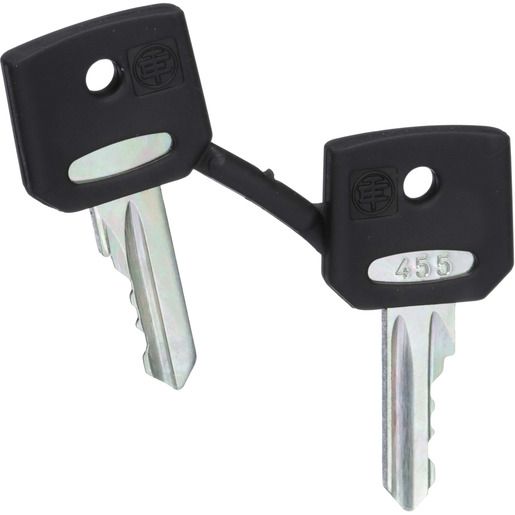 Schneider Electric SCHLÜSSEL RONIS455 ZBG-455 / SCHN.E ZBG-455 ZBG455