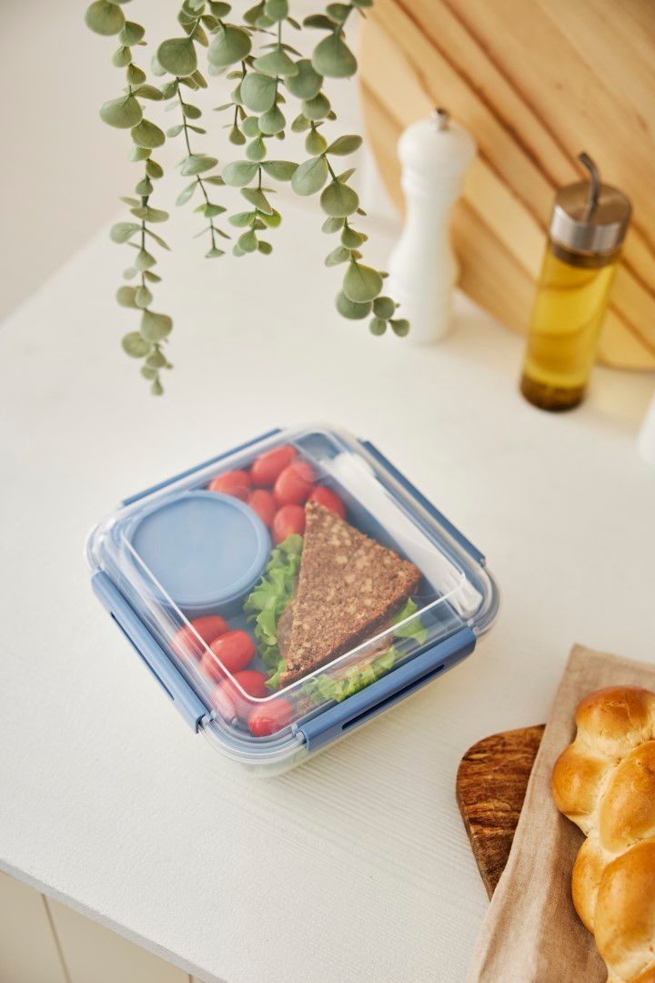 Rotho Salatbox 1.7 l MEMORY B3