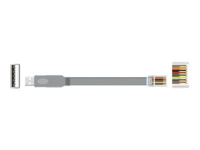 Delock Kabel seriell - USB (M) zu RJ-45 (M)