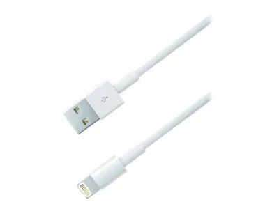 MEDIARANGE Lightning-Kabel - USB männlich zu