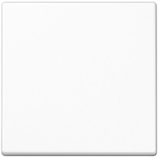 Jung WIPPE F. SCHALTER/TASTER - / JUNG A590BFWW