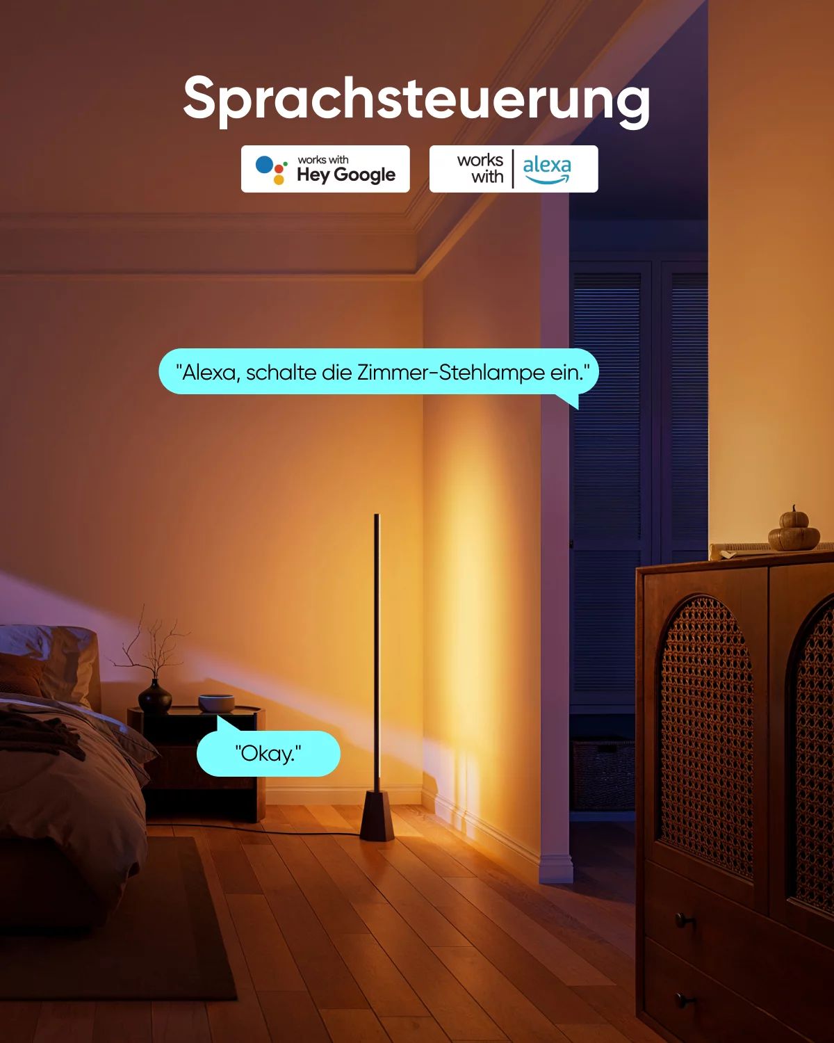 Anker Indoor Floor Lamp E10