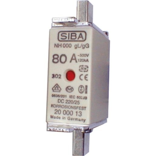 Siba NH-SICHERUNG GR.000 / SIBA NH000/100A GL 500V 2000013.100