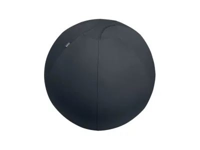 Esselte Leitz Ergo Active - Ballstuhl - ergonomisch