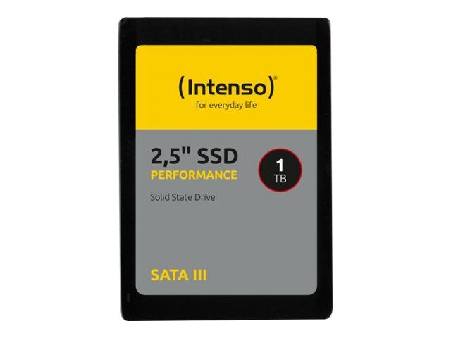 Intenso performance - SSD - 250 GB - intern - 2.5" (6.4 cm)