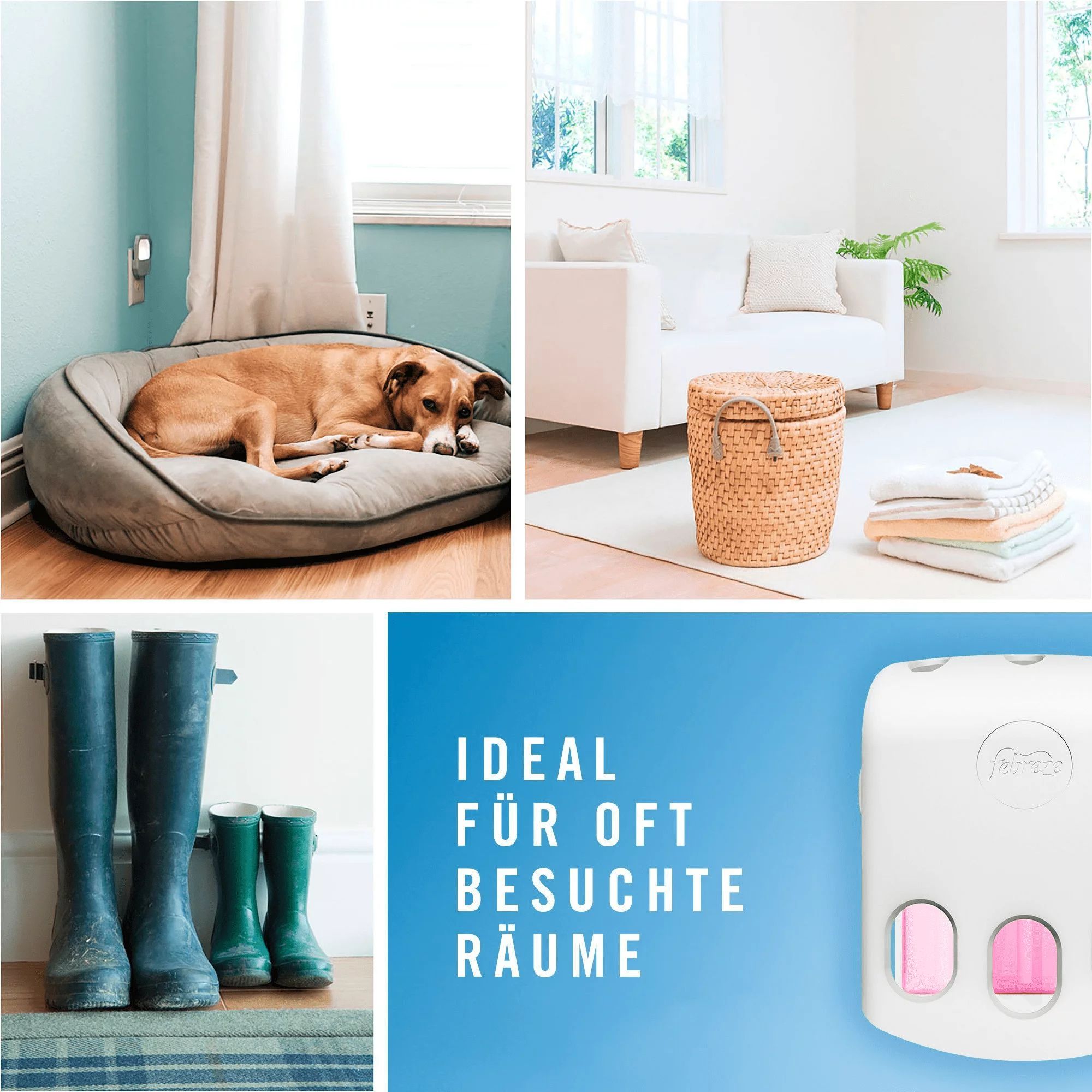 Febreze 3Volution Duftstecker Starterkit Apfel-Zimt