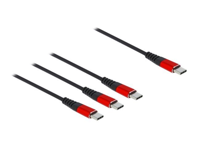 Delock USB-Kabel - USB-C (M) zu USB-C (M)