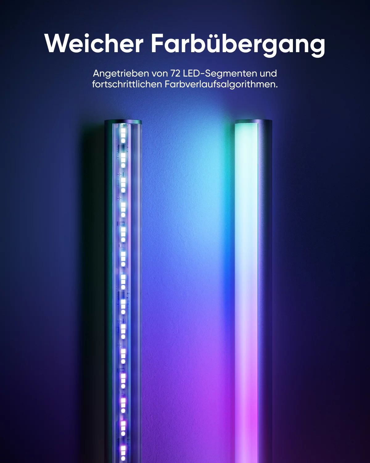 Anker Indoor Floor Lamp E10