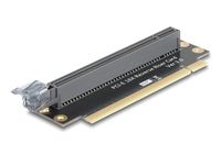 Delock Riser Card