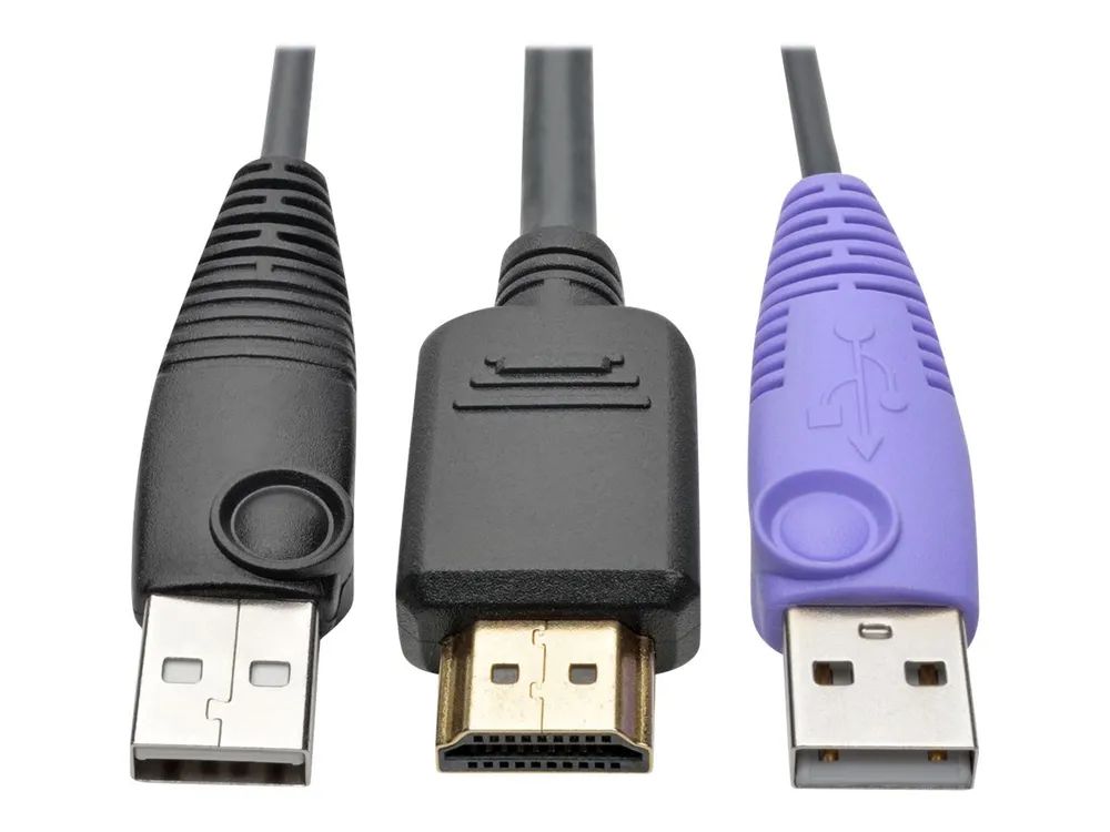 Tripp Eaton Tripp Lite Series HDMI USB Server Interface