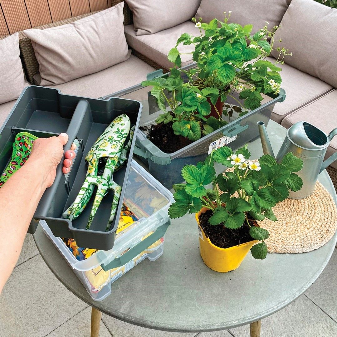 Rotho Organizer für 11 - 15 l Boxen EVO