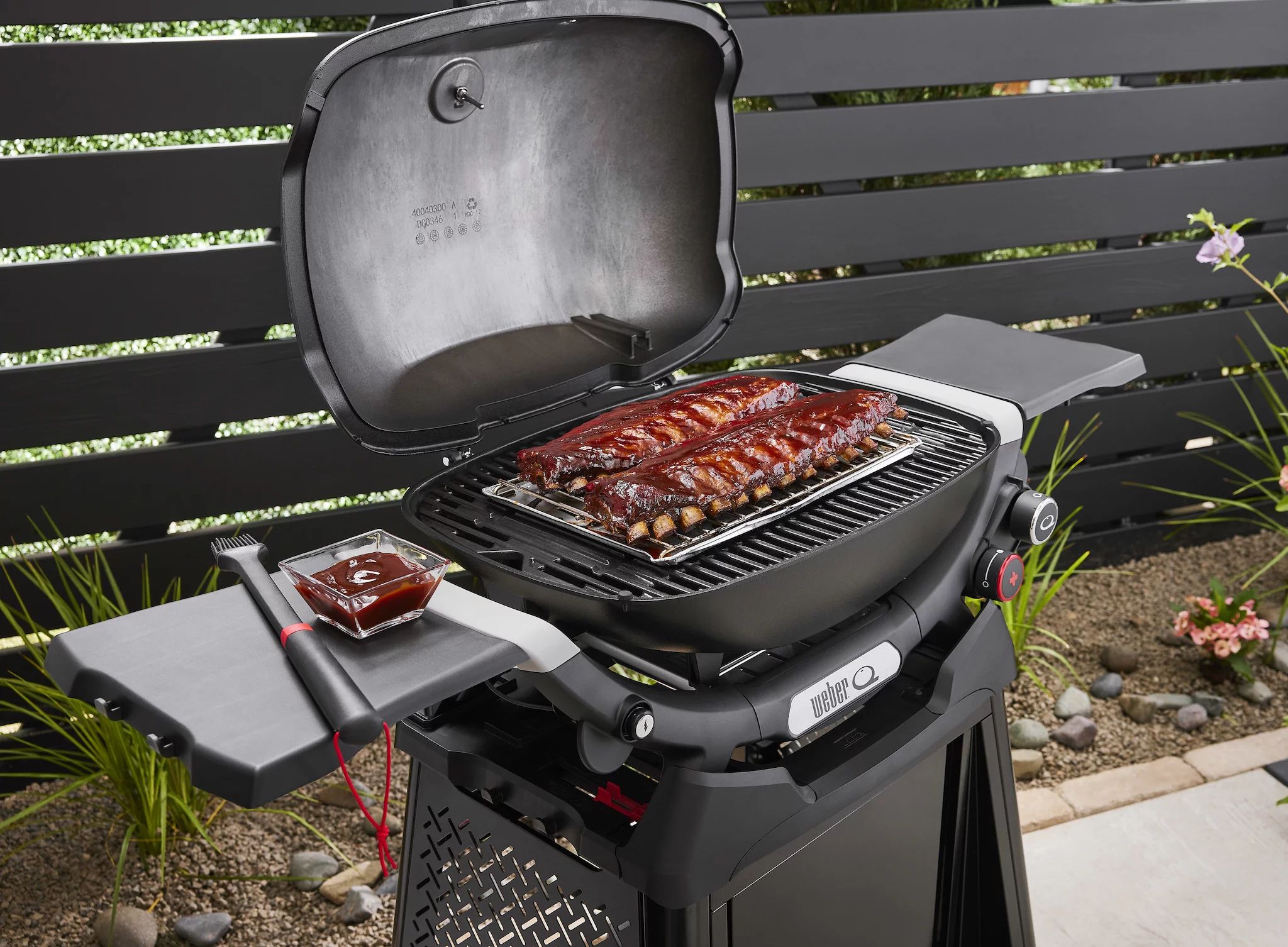 Weber Q2800N+ mit Rollwagen